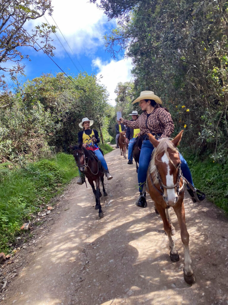 alquiler de caballos