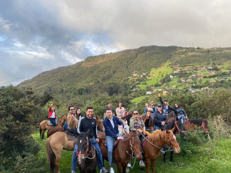 Caballos En La Calera